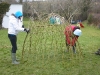Living willow dome by Living Willow Wales at Ysgol Penlon