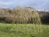 2m Living willow dome by Living Willow Wales at Ysgol Penlon